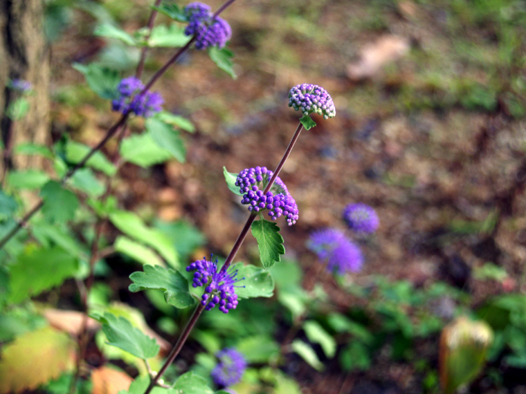 �̹����� Ŭ���ϸ� ������ ���� �� �ֽ��ϴ�.