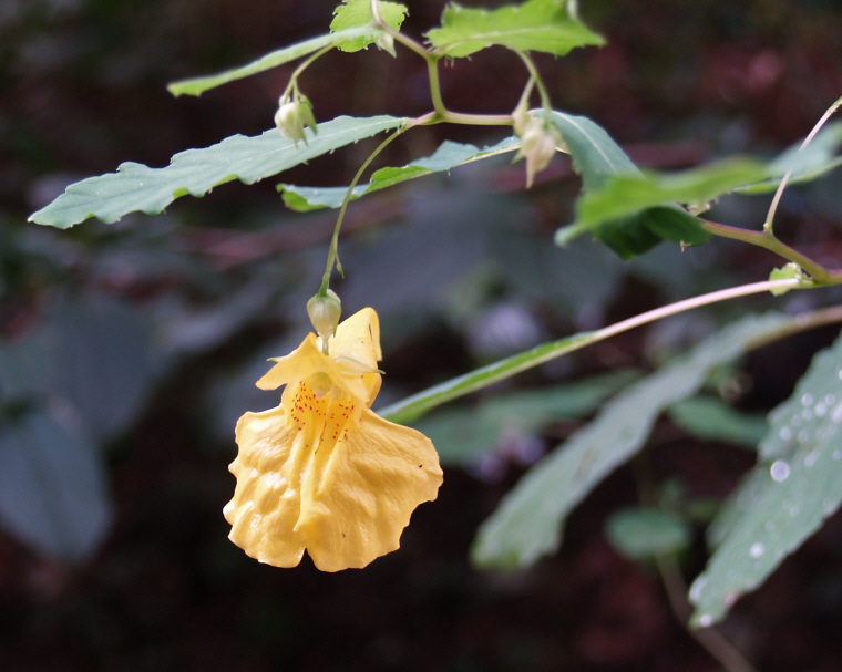 �̹����� Ŭ���ϸ� ������ ���� �� �ֽ��ϴ�.