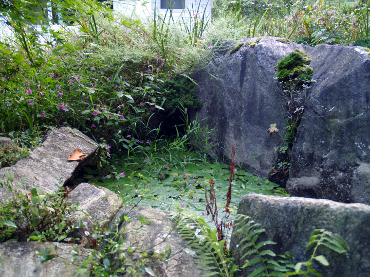 �̹����� Ŭ���ϸ� ������ ���� �� �ֽ��ϴ�.