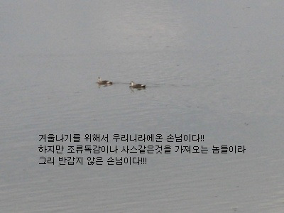 그곳에가면주남 이미지