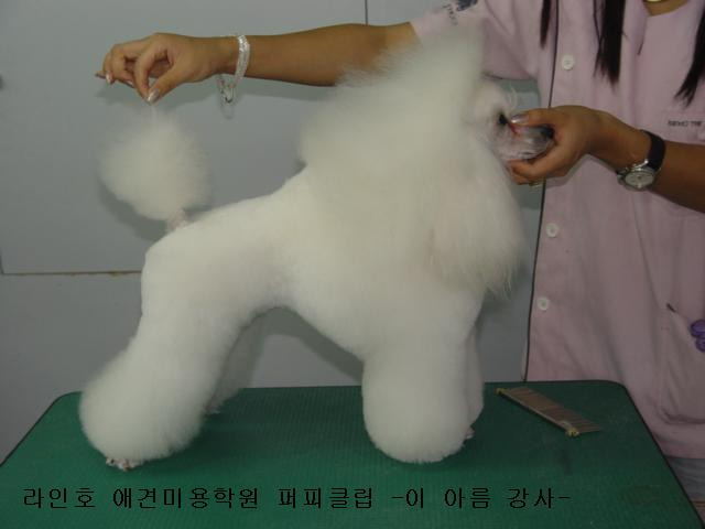큐빅 이미지