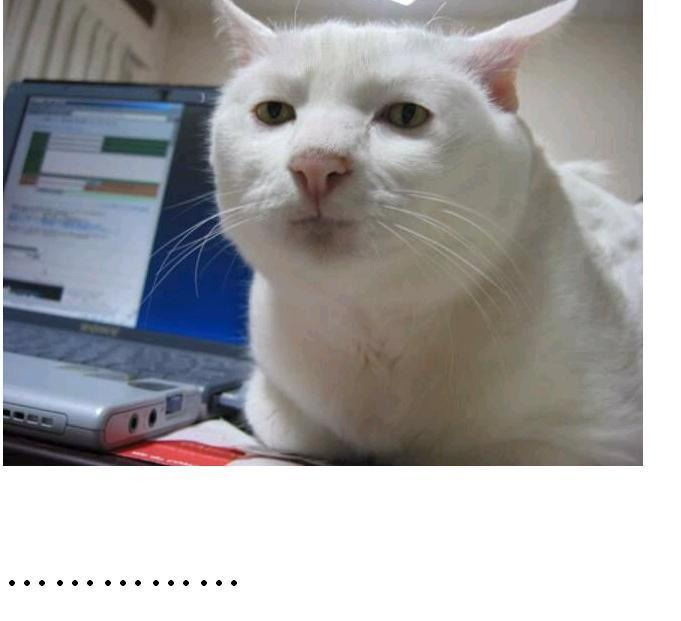 응 이미지