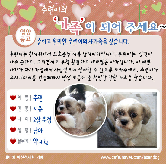 추련 이미지