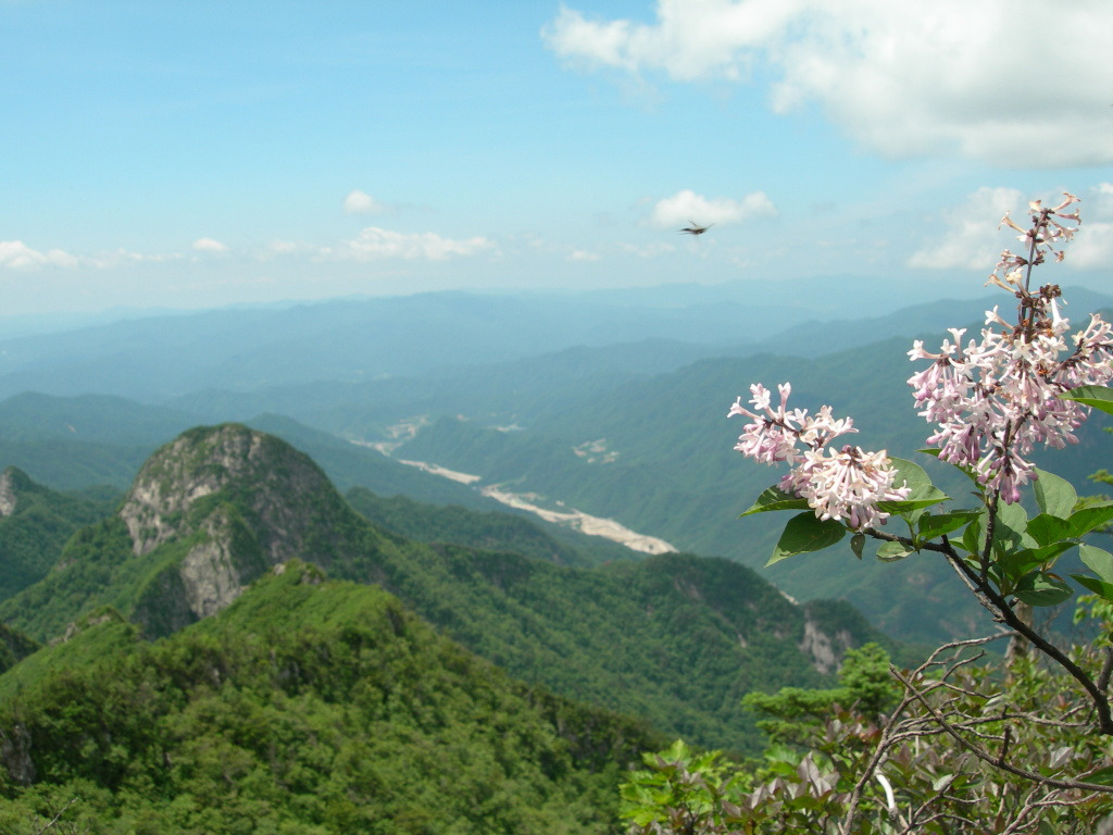 삼형제봉 정상 이미지